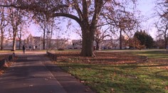 Park na pražské Kampě dostane nový nádech. Objeví se nová zeleň i hřiště