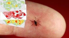 Klíšťata útočí i ve městech! Jaké nemoci přenáší ve vašem kraji?