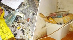 Hygienici varují před pizzeriemi a kebabárnami. Možná tam chodíte na oběd