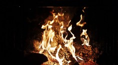 Jak grilovat bez grilu? Záchrana pro všechny letošní opozdilce!