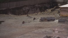 Potkani obtěžují lidi po skoro celých Pardubicích. Město slibuje deratizaci