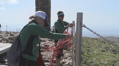 Na Sněžce bojují s neukázněnými turisty. Vstupu mimo trasy brání sítě