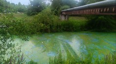 Pražská říčka nečekaně změnila barvu. Stopy policii dovedly k obytnému vozu