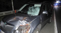 Černá sobota na jihu Čech: Zemřel motorkář (37) i chodkyně (27)!