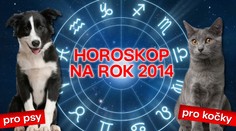 VELKÝ ZVÍŘECÍ HOROSKOP: Co čeká vaše psy a kočky v roce 2014?