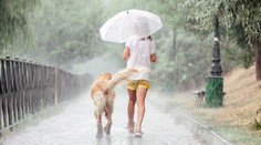Na Česko udeří další bouřky s prudkým deštěm. Meteorologové ukázali mapu