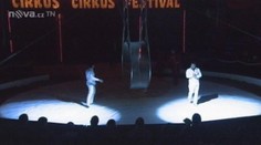 Cirkusový extrém v Praze! Tady jde o život i o vaše žaludky!