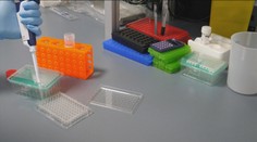 Lék z lysohlávek jako nová naděje při léčbě depresí. Vědci shánějí dobrovolníky