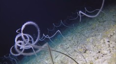 Vědci se chystají prozkoumat záhadné dno Indického oceánu