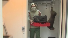 Zvěřina jde na dračku, přesto je pořád levná! Kilo se dá sehnat pod stovku