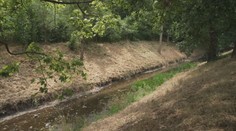 Přibývá zákazů odebírání vody z potoků. Sucho trápí zemědělce i zahrádkáře