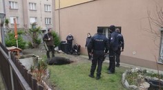 Na lidi v pražském Podolí zaútočil divočák! Policisté ho zastřelili. VIDEO