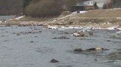 České řeky jsou bez vody, odborníci se obávají sucha