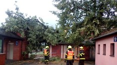 Následky bouře: Padající stromy ničily střechy rodinných domů