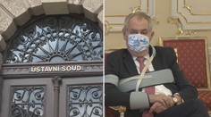Za výrok o Šarapatkovi se měl omluvit prezident Zeman, ne ministerstvo, rozhodl Ústavní soud