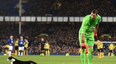 Vetřelec na hřišti! Gólman Evertonu musel chytat i kočku