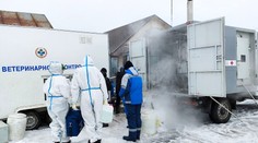 V Rusku se objevila nákaza antraxem. Jedna z obcí je v karanténě