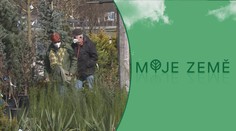 Lidé vzali zahradnictví útokem, nakupují rostliny i všemožné nářadí