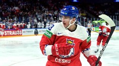 Vrána na mistrovství světa nepojede, rozhodli trenéři. Hráč to přijal dobře