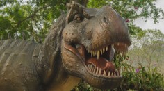 Dinosauři vůbec neřvali! Vědci ukázali, jaký měli hlas! AUDIO
