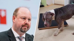 Za pohřbení psa zaživa dostali podmínku. Tejc s trestem pro pachatele nesouhlasí