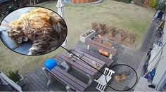 Známému hudebníkovi zastřelili Lízu! Boj o život zachytily kamery