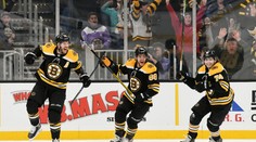 Povedená noc v NHL! Trefilo se hned šest Čechů, dařilo se i brankářům