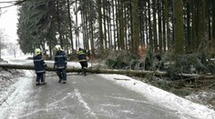 Mrazy, vichr a výpadky proudu. Česko se vzpamatovává z kalamity