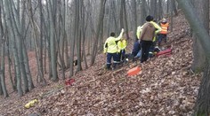 Smrt při honu: Naháněč zvěře zkolaboval a už mu nepomohli