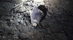 Takovou nadílku nečekal! Muž našel o Vánocích v Brně pancéřovou pěst