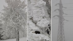 Fotky z Třebíčska vyrážejí dech: Námraza má i 15 cm, láme stromy!