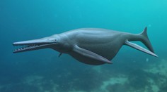 Rekordní úlovek. Paleontologové objevili pravěké podmořské monstrum