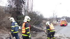 Českem se prohnala vichřice! Lámala stromy, šířila požáry