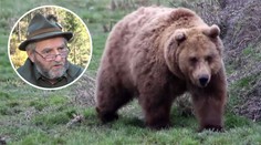 Pavla v lese skalpoval medvěd! Slyšel prý praskání vlastních kostí