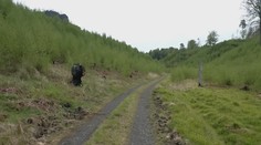 Požár v Českém Švýcarsku: Krajina by se měla zotavit ještě letos