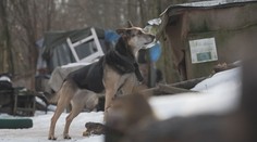 Po naší reportáži se zvedla vlna solidarity. Hlavní hrdina se dočkal pomoci diváků