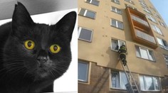 Kočka se zasekla v otevřené ventilaci. Vysvobodili ji hasiči