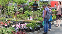 Výstaviště láká na HOBBY i potravinářský veletrh