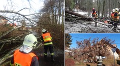 Děsivá síla Sabiny. Hasiči rozřezali padlý strom, pak prchali o život!