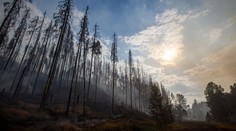 Hašení v Českém Švýcarsku komplikuje kouř. Šíření se podařilo zastavit, řekl šéf hasičů