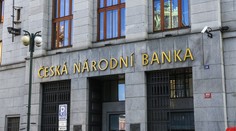 Inflace se stále zhoršuje. Na podzim může činit i 20 procent, bojí se ČNB