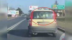 Muž nacpal do fiatu krávu. Hledali ho policisté celého okresu