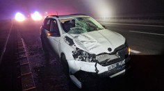 Tragická nehoda na D3. Muž přebíhal dálnici, po střetu s autem zemřel