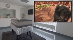 Krematorium pro zvířata: Jak vypadá psí pohřeb a kolik stojí?