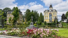 Aš chce na svém území nulové daně i příspěvky. Navrhuje nový zákon