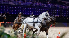 Umělecká vystoupení i řada efektů. Prague Playoffs nadchne diváky