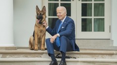 Pozor, zlý pes. Bidenovi se loučí s milovaným mazlíčkem
