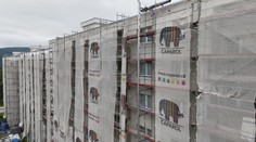 Dělníci zalepili hnízda s chráněnými ptáčaty. Podle znalce tam žádná nebyla