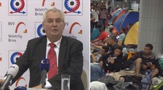 Uprchlíci na pusté ostrovy, navrhl Zeman. Je to nelida, zuří ochránci