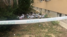 Míša (22) měla ubodat partnera, pak mu vyházela věci z okna